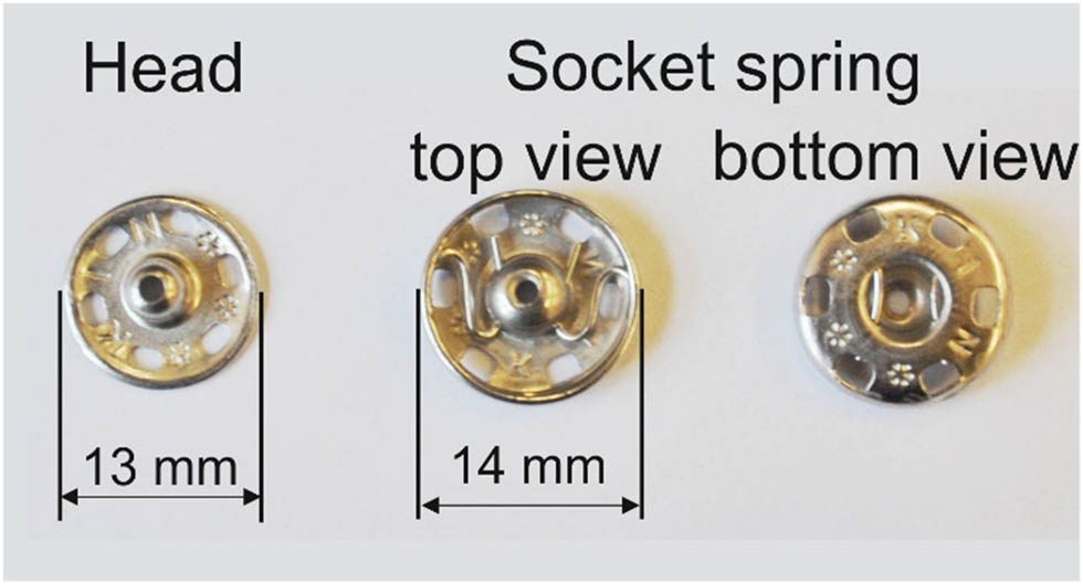 Figure 2
Two parts of a large clothing snap: head and spring socket.