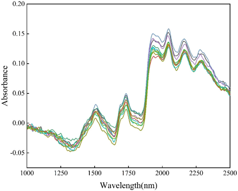 Figure 5
Raw spectra of the samples.