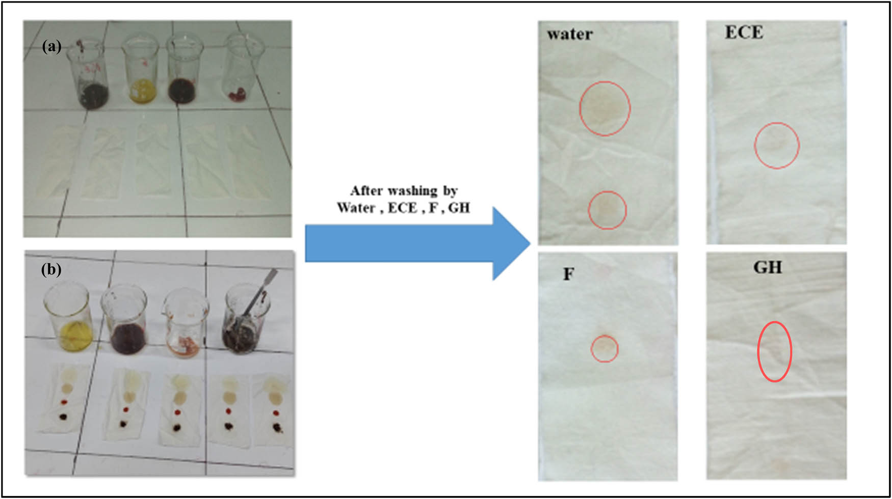 Figure 9
Detergency test οf different prοducts GH, F, and ECE.