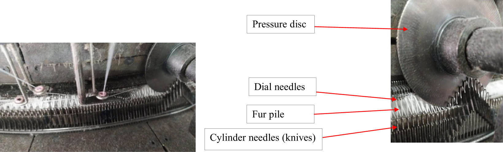 Figure 2
The process of opening (cutting) the fur stitches.