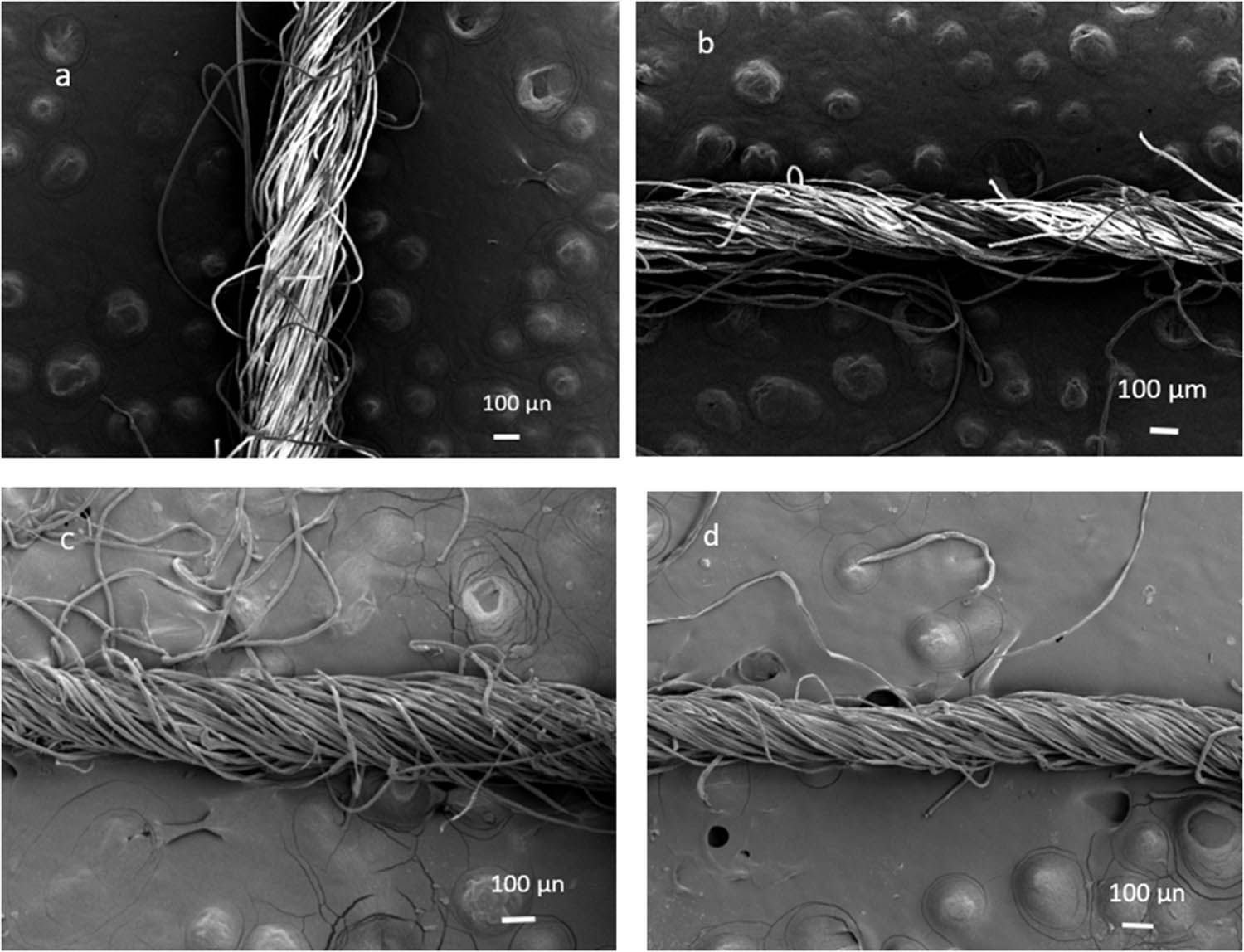 Figure 1
Electron microscope photographs of typical representatives of elastomeric yarns: (a) PEE1 and (b) PEE1/COT (50/50) by ring spinning; (c) PEE2/PET (50/50) and (d) PEE2 compact spinning.