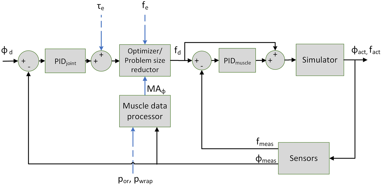 Figure 2: 
Diagram of the humeral control system. Legend: ϕ
d ∈ R
3 are the desired GH joint angles; ϕ
act ∈ R
3 are the actual GH joint angles; ϕ
meas ∈ R
3 are the measured GH joint angles; 
τ

e ∈ R
3 are the pre-estimated GH torques; f
e ∈ R
10 are the pre-estimated muscular forces; f
d ∈ R
8 are the desired muscular forces; f
act ∈ R
10 are the actual muscular forces; f
meas ∈ R
8 are the measured muscular forces; MA

ϕ
 ∈ R

3x10
 are the estimated moment arms; p
or, p
ins ∈ R
3×10 are the pre-estimated origin and insertion points of the muscles.
