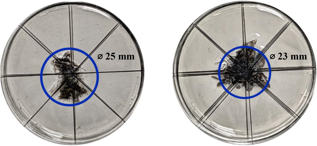 Figure 5: 
Variance of the deposit locations for the mini-gripper with a specimen of 15 mm (left) and a specimen of 8 mm (right). All insects are deposited within a circle of approximately 25 mm for the 15 mm specimen and in a circle of approximately 23 mm for the 8 mm specimen.
