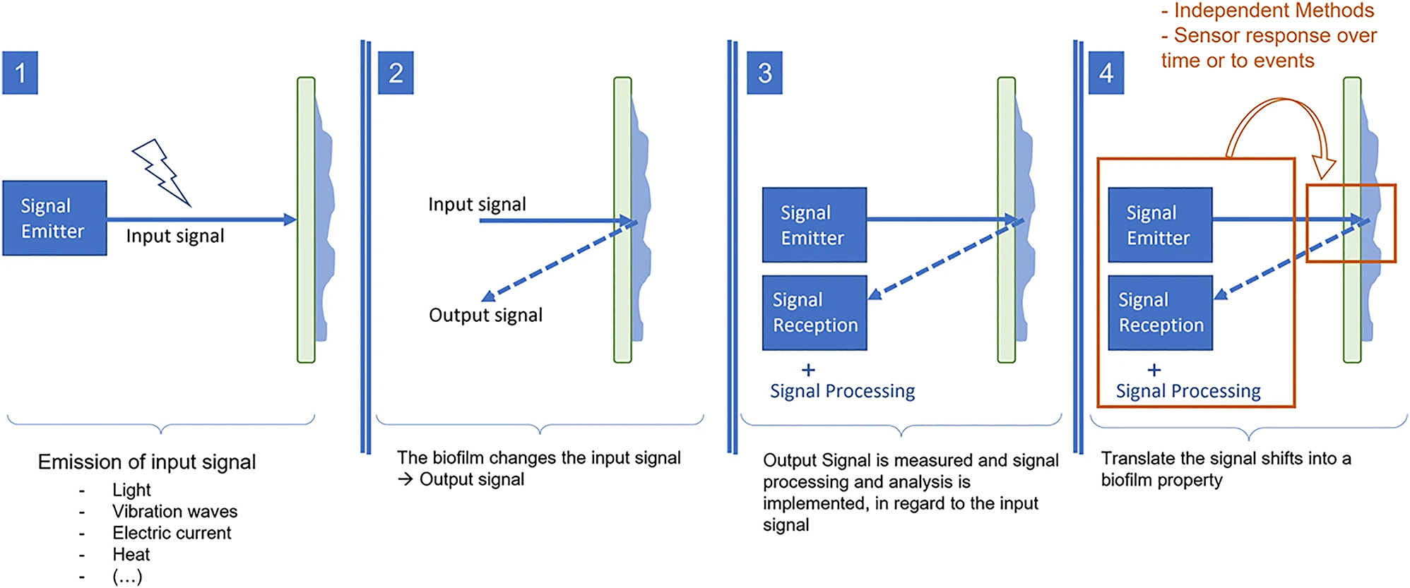 Figure 5: 
Possible monitoring concept for the biofilm detection (source: [17]).
