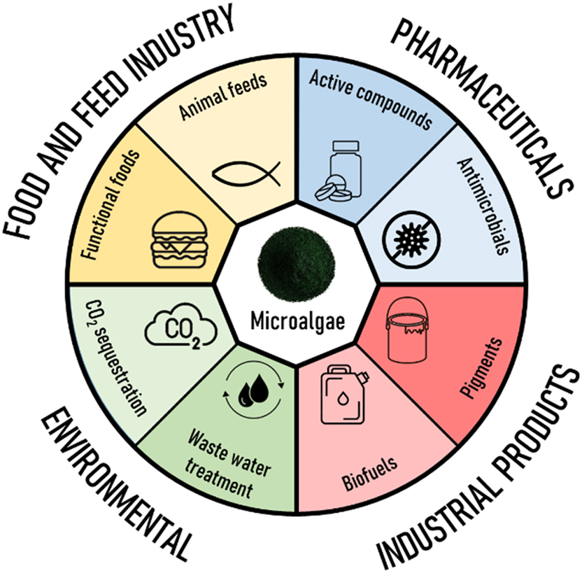 Figure 1: 
Main applications of microalgae.

