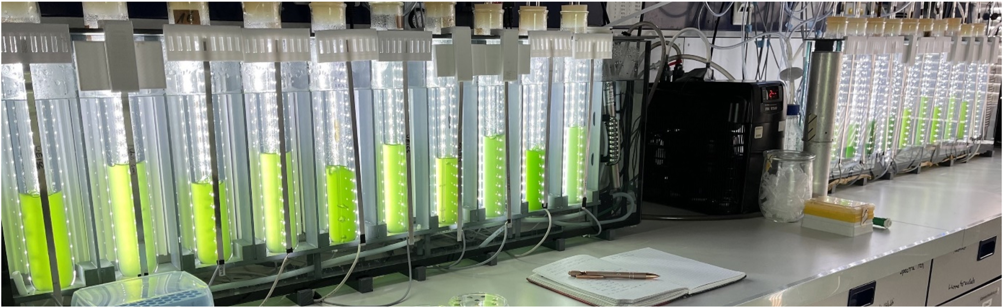 Figure 2: 
Photobioreactor for research. Flexible regulation and control of growth parameters for an optimal study of microalgae.
