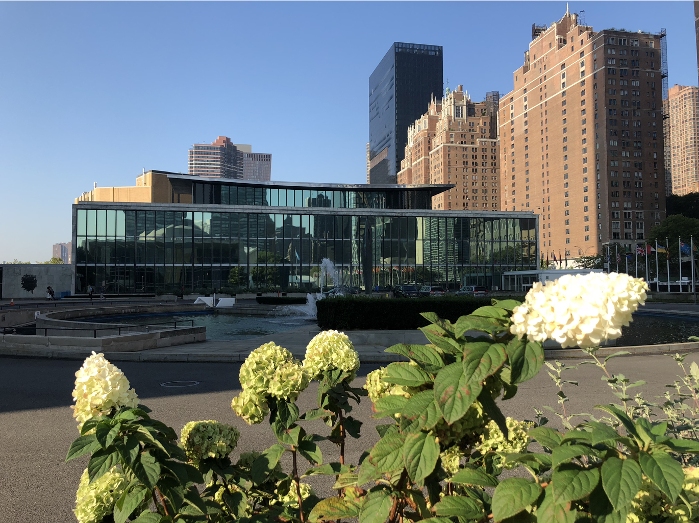 Abb.: Dag-Hammarskjöld-Bibliothek der Vereinten Nationen in New York. © und Foto: Dag-Hammarskjöld-Bibliothek.