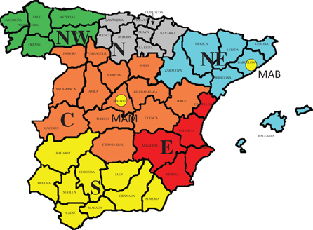 Map 2: Spanish regions for disaggregated data.