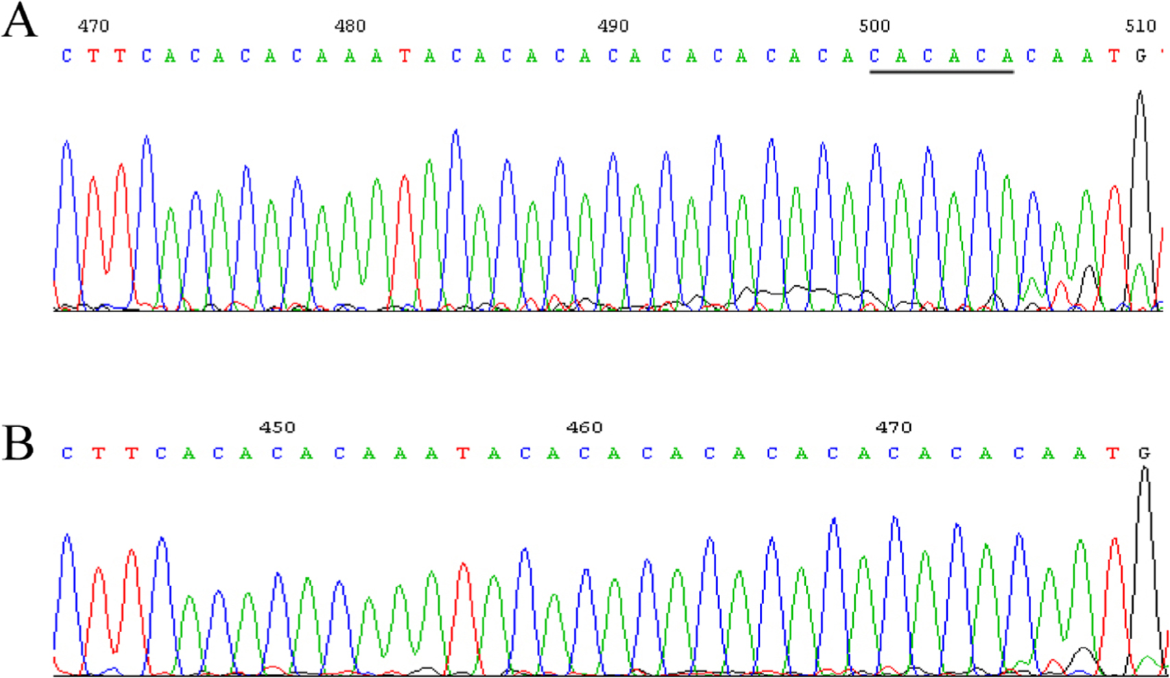Figure 6 SNP at site g. 21778 located in intron 8. (A) The GenBank sequence (ACCESSION: NG_007081 VERSION: NG_007081.1) found in eight samples. (B) The sequence CACACA is missing in five samples. DNA samples were extracted from white blood cell samples. The target region in the IRF6 gene was amplified using PCR. The PCR product was sequenced by Shanghai Megiddo Biological Pharmaceutical Co., Ltd.
