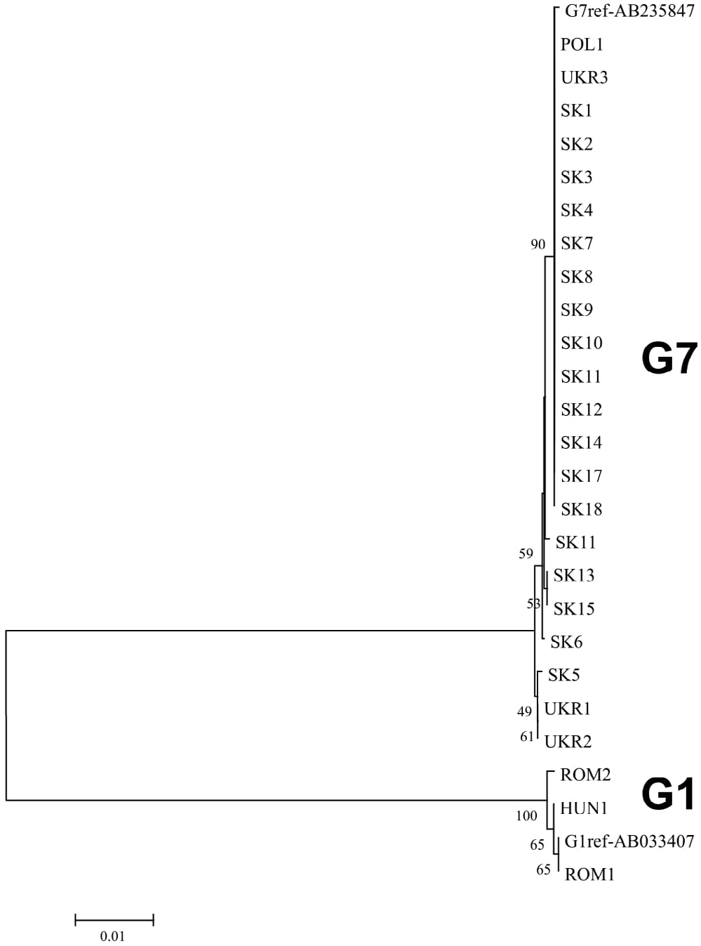 Figure 2 Dendrogram inferred for examined central-eastern European isolates from concatenated DNA sequences in mitochondrial genes cox1, atp6, nad1 using the neighbor-joining (N-J) method. Numbers at nodes of branches refer to bootstrap support values in 1,000 replications. Only bootstrap values higher than 40% are shown.