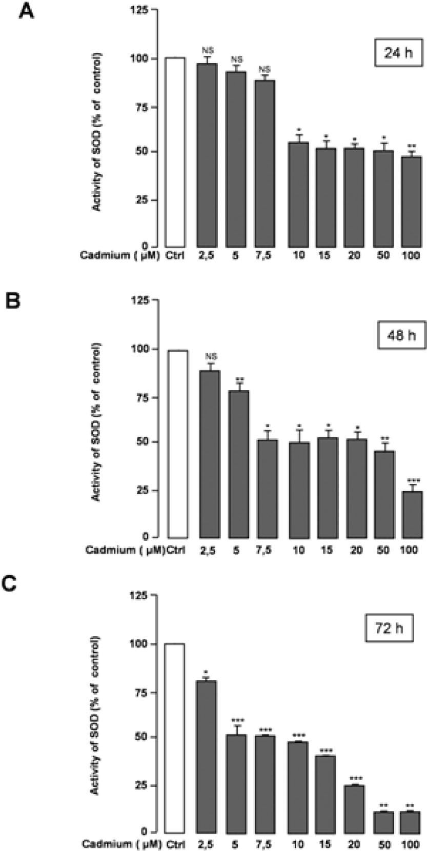 Figure 4 Effects of Cd treatment on SOD activity in CGNs.The obtained results are expressed as the percentage of SOD activity with respect to the control values (Ctrl). The value is presented as mean ± SEM of the measurements obtained from at least four technical replicates in three independent experiments. *p < 0.05; **p < 0.01; ***p < 0.001; NS, no significant difference compared with the control (0 μM Cd).