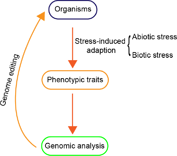 Figure 1 Stress-induced adaption strategy adopted for the generation of phenotypic traits.