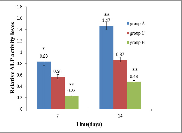 Figure 2 ALP activity was analyzed in human BMSCs at days 7 and 14 after osteoblastic differentiation. Group A: lncR-2271 was overexpressed human BMSCs; Group B: lncR-2271 was knocked down in human BMSCs by transfection with lncRNA-2271 siRNA; Group C: human BMSCs were transfected with scrambled plasmids - control; Data are presented as mean ± SD; ** P < 0.01 compared to group C.