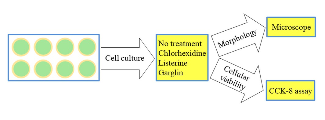 Figure 1 Diagram showing the overview of the study design.