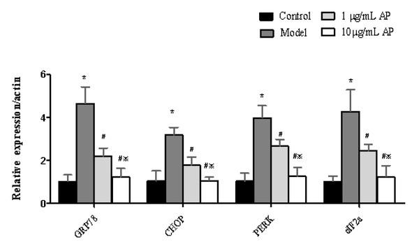 Figure 5 Astragalus polysaccharides reduce mRNA levels of GRP78, CHOP, PERK, and eIF2a