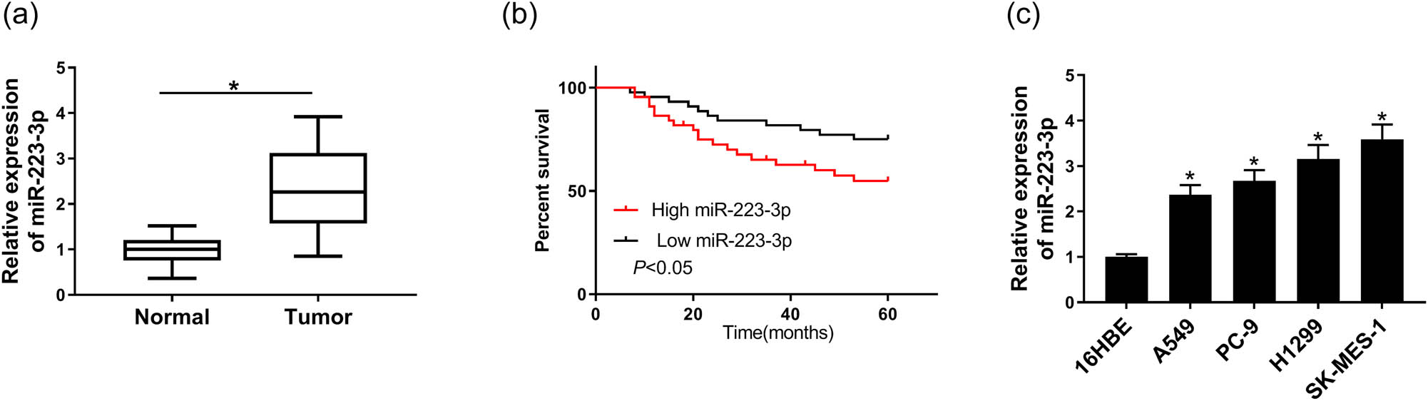 Figure 1 
                  MiR-223-3p was highly expressed in NSCLC tissues and cell lines. (a) The miR-223-3p expression in NSCLC tissues (n = 46) and normal tissues (n = 46) was measured by qRT-PCR. (b) Percent survival of patients with high level of miR-223-3p (n = 30) or low level of miR-223-3p (n = 16). (c) The expression of miR-223-3p in NSCLC cell lines (A549, PC-9, H1299, and SK-MES-1) and normal cell lines (16HBE) was tested by qRT-PCR (n = 3). *P < 0.05.
               