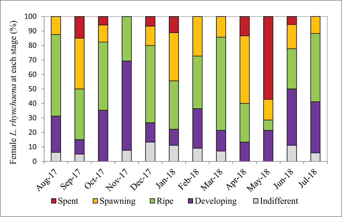 Figure 5 Stages of gametogenesis observed in female clams over the study period.
