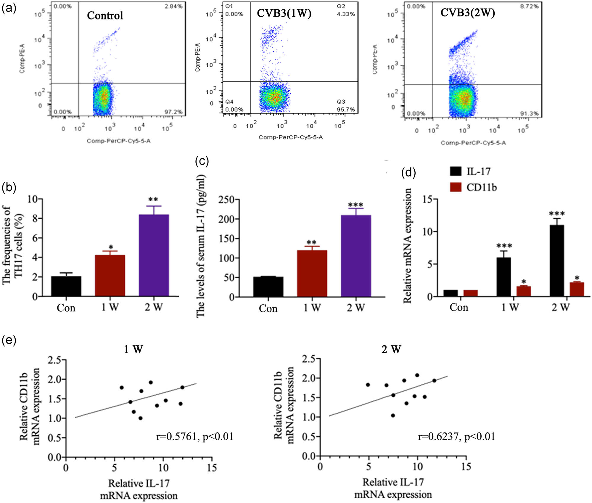 Figure 2 Expression of CD11b and its correlations with the IL-17 expression. (a and b) The frequencies of Th17 cells in CD4+ cells in spleen in control and CVB3 mice were analyzed by flow cytometry. (c) The serum IL-17 level in mice was evaluated by ELISA at the first and second week(s) after the infection. (d) The relative IL-17 and CD11b mRNA expression in heart tissues was evaluated by qRT-PCR after CVB3 infection for 1 and 2 weeks. (e) Correlation between CD11b and IL-17 mRNA expression in heart tissues. Data are shown as mean ± SD. *p < 0.05, **p < 0.01 and ***p < 0.001 compared with the control group.