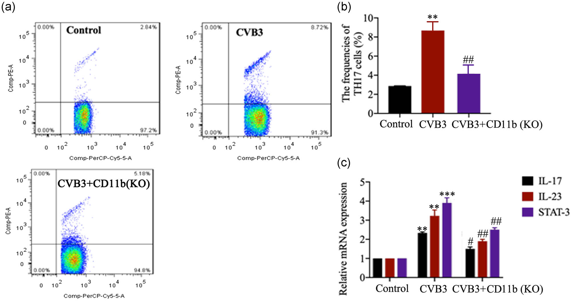 Figure 4 CD11b deficiency suppressed Th17 cell response. Before CVB3 injection, mice were injected with siRNA-targeting CD11b and EntransterTM-in vivo transfection reagent from the vena caudalis to knock down CD11b in mice. (a and b) The frequencies of Th17 cells in CD4+ cells in spleen in control and CVB3 mice were analyzed by flow cytometry 2 weeks after CVB3 injection. (c) The relative IL-17, IL-23 and STAT-3 mRNA expression in heart tissues was evaluated by qRT-PCR. Data are shown as mean ± SD. **p < 0.01 and ***p < 0.001 compared with the control group, #p < 0.05, ##p < 0.01 and ###p < 0.001 compared with the CVB3 group.