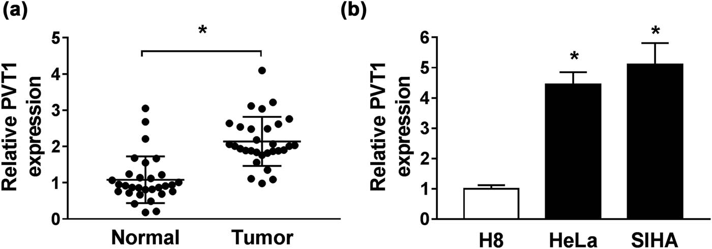 Figure 1
PVT1 was upregulated in CC tissues and cell lines. (a and b) The expression of PVT1 in CC tissues and paired adjacent normal tissues (a), as well as in CC cells (HeLa and SIHA) and H8 cells (b) examined by qRT-PCR assay. *P < 0.05. All experiments were repeated thrice, independently.