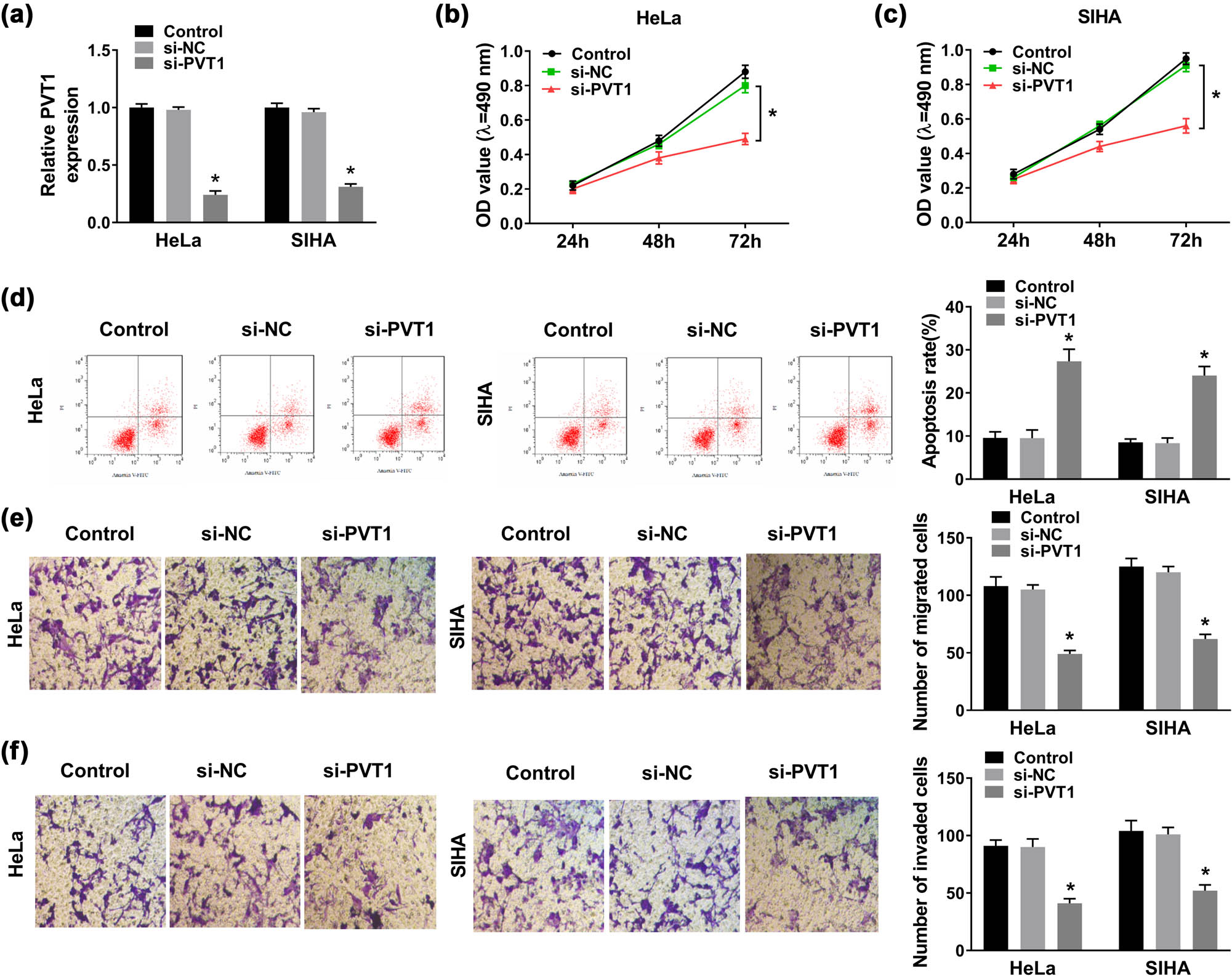 Figure 2
Silencing of PVT1 inhibited CC progression. CC HeLa and SIHA cells were transfected with control (blank), si-NC, or si-PVT1. (a) PVT1 expression in transfected HeLa and SIHA cells evaluated via qRT-PCR assay at 48 h post transfection. (b and c) Cell viability in HeLa and SIHA cells analyzed by MTT assay at 24, 48, and 72 h post transfection. (d) Cell apoptosis rate of transfected HeLa and SIHA cells evaluated by flow cytometry. (e and f) Cell migration and invasion examined by Transwell assay. *P < 0.05. All experiments were repeated thrice, independently.