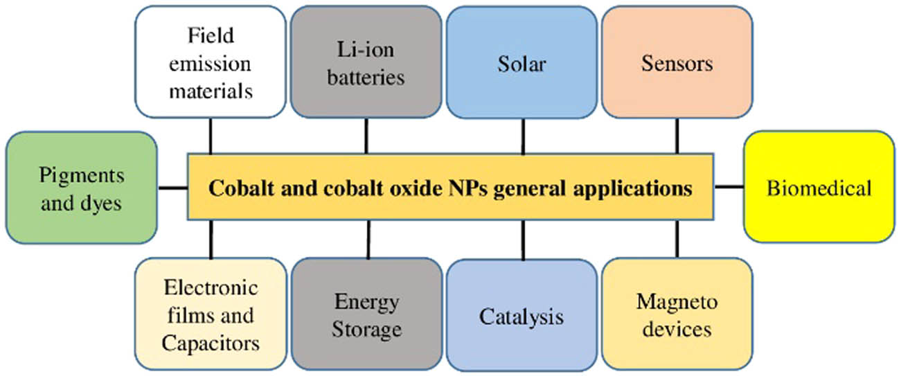 Figure 1
General applications of cobalt and cobalt oxide NPs.