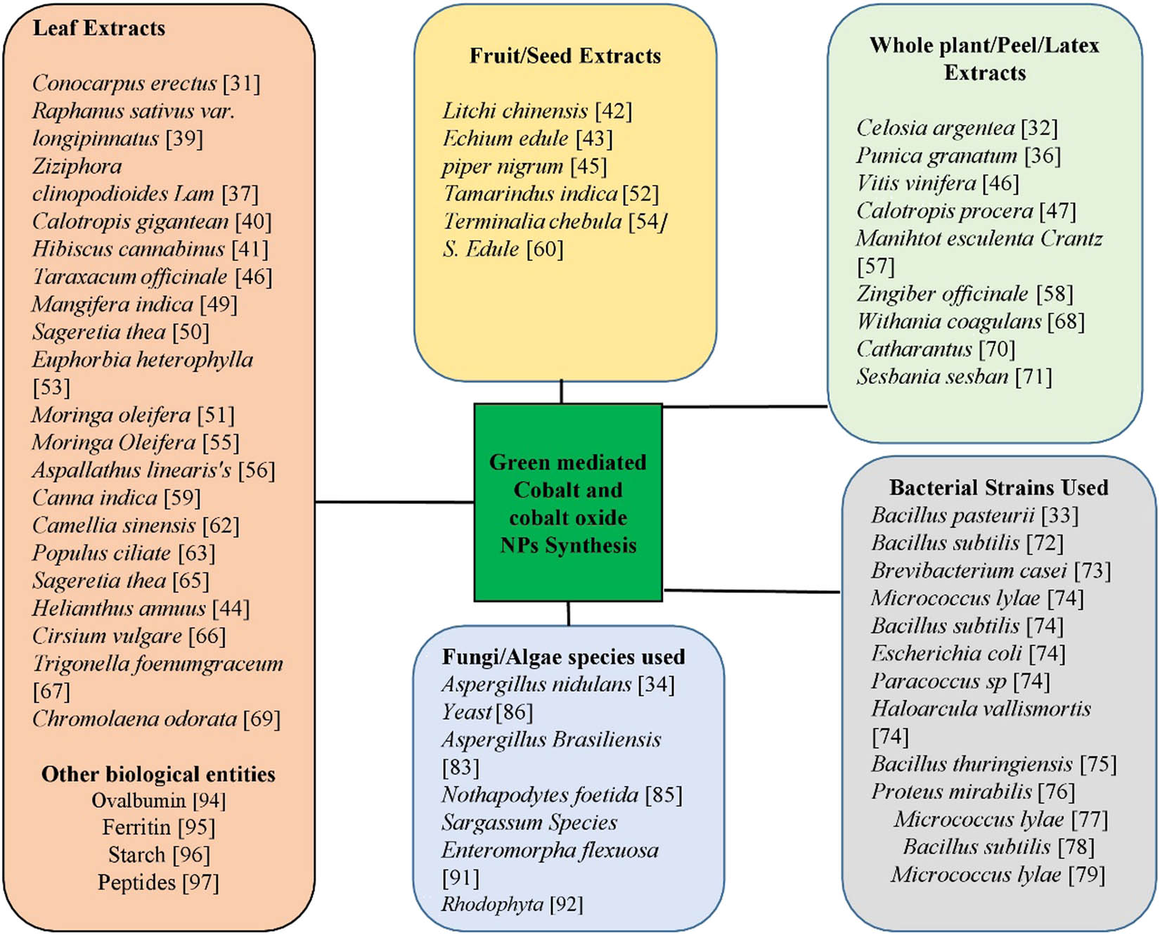 Figure 3
Use of different plant/parts of plant, microorganism, and other biological molecules for the synthesis of cobalt and cobalt oxide NPs.