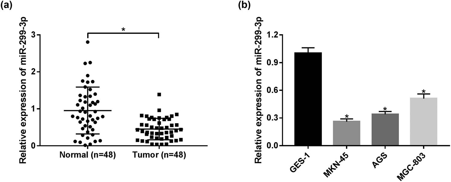 Figure 1
The expression of miR-299-3p in GC tumors and cell lines. (a) The expression of miR-299-3p in GC tumor tissues compared with the corresponding adjacent normal tissues measured by qRT-PCR. (b) The expression of miR-299-3p in GC cell lines (MKN-45, AGS, and BGC-823) compared with human gastric mucosal epithelial cell line GES-1. *P < 0.05.