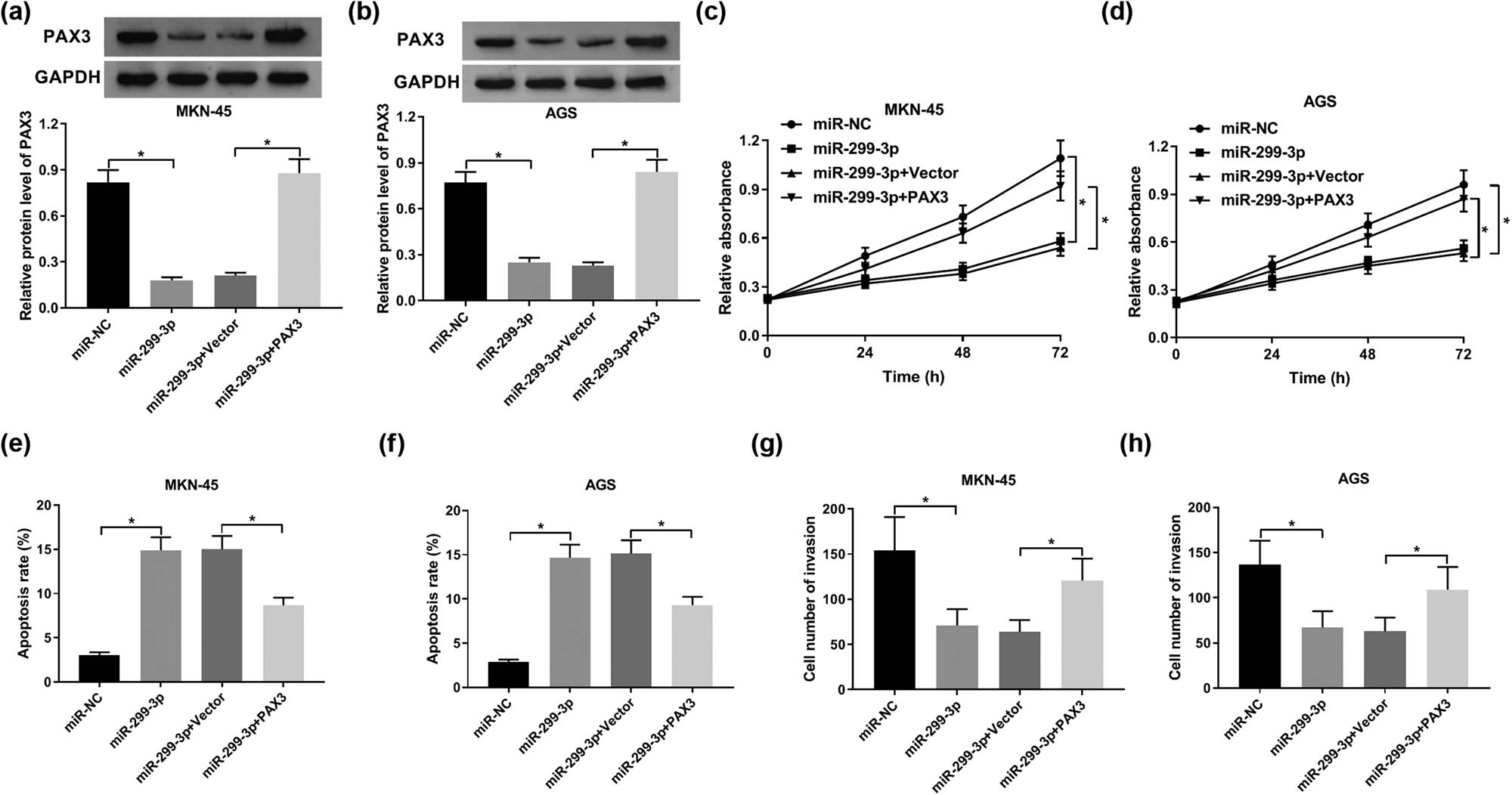 Figure 5
PAX3 abrogated the suppressive effect of miR-299-3p on proliferation and invasion in GC. MKN-45 and AGS cells were transfected with miR-299-3p + PAX3, miR-299-3p + vector, miR-299-3p, and miR-NC. (a and b) The expression of PAX3 protein in MKN-45 (a) and AGS cells (b) at 48 h post-transfection. (c and d) Cell viability of MKN-45 (c) and AGS cells (d) after transfection for 24, 48, and 72 h. (e and f) The apoptotic rate of MKN-45 (e) and AGS cells (f) at 48 h post-transfection. (g and h) Cell invasion ability of MKN-45 (g) and AGS cells (h) at 48 h post-transfection. *P < 0.05.