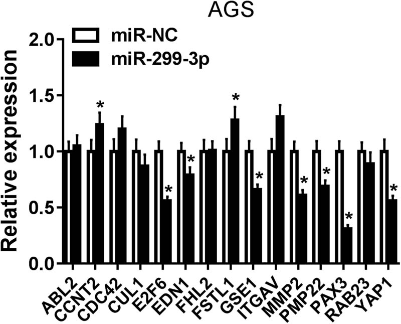 Figure A1
The expression levels of target genes of miR-299-3p were measured by qRT-PCR in AGS cell line.