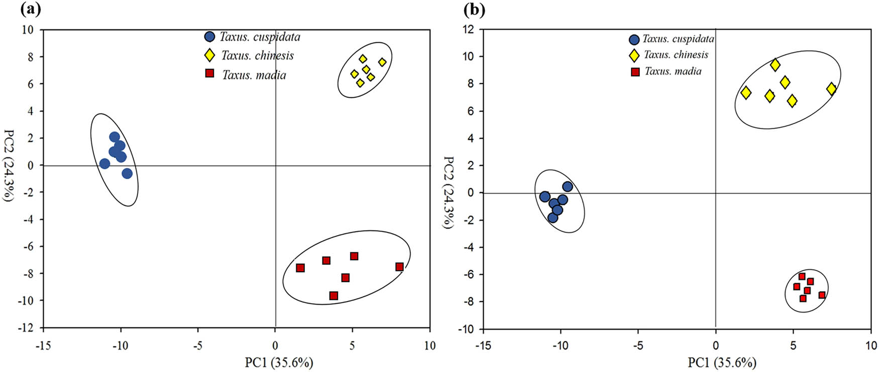 Figure 2
The PCA score plot (a) and PLS-DA score plot (b) of compounds among T. chinensis, T. cuspidata, and T. media. Note: Blue circle, yellow diamond, and red square represent T. chinensis, T. cuspidata, and T. media, respectively.