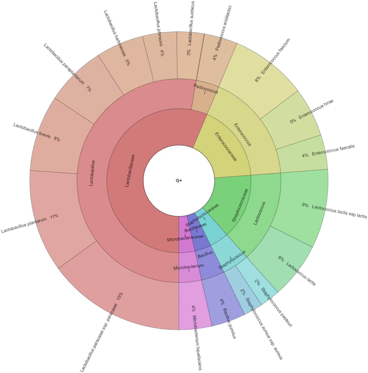 Figure 3
Diversity of Gram-positive bacteria isolated from ewes’ cheese “Bryndza” (outermost ring: species, middle ring: genus, innermost ring: family).