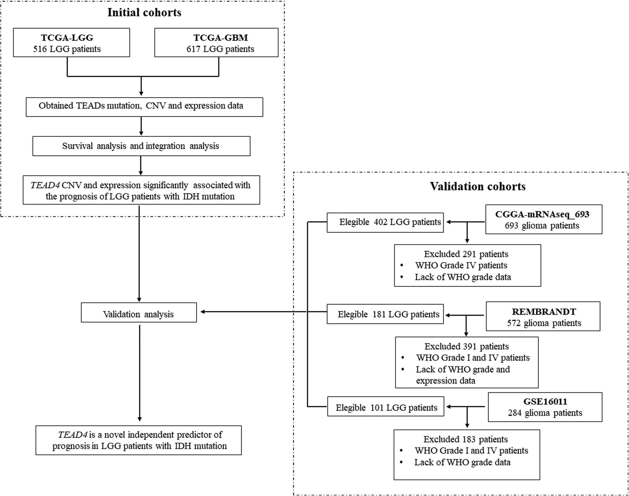 Figure 1 
                  Flow diagram of the study patients.
               