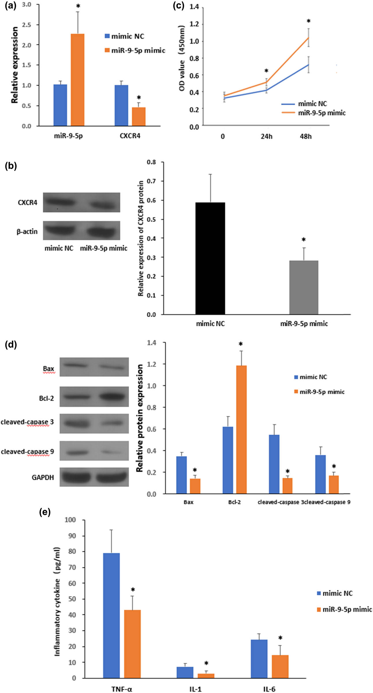 Figure 3 
                  Overexpression of miR-9-5p ameliorates OGD/HG-induced LSECs impairment. (a) Expression levels of miR-9-5p and CXCR4 in LSECs following mimic NC or miR-9-5p mimic transfection, as determined by quantitative RT-qPCR. (b) Immunoblotting of CXCR4 in I/R-treated LSECs (left) and quantification of CXCR4 levels (right, n = 3). (c) Cell viability assay was performed on LSCEs at indicated time points following OGD/HG insults. (d) Immunoblotting of Bax, Bcl-2, cleaved-caspase 3, and cleaved-caspase 9 in OGD/HG-treated LSECs (right) and quantification of CXCR4 levels (left, n = 3). (e) Expression levels of TNF-α, IL-1, and IL-6 in control and OGD/HG group as determined by ELISA. *P < 0.05 versus mimic NC. The data represent the mean ± standard deviation.
               