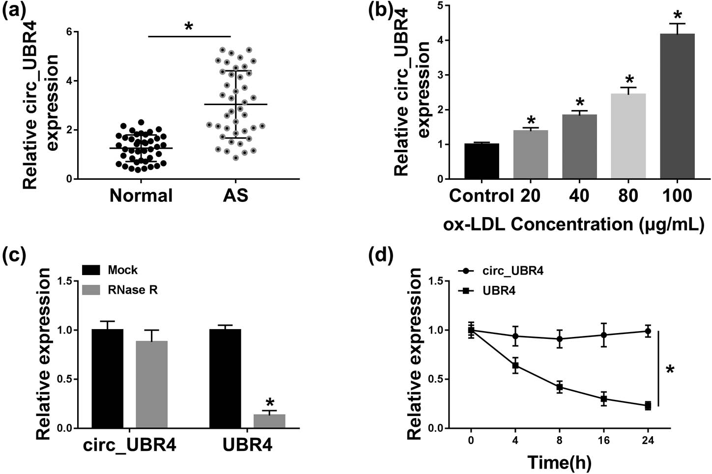 Figure 1
Expression of circ_UBR4 (hsa_circ_0010283) was upregulated in human AS serum and ox-LDL-induced VSMCs. RT-qPCR detected circ_UBR4 expression level in (a) serum samples from AS patients (AS; n = 41) and normal control people (normal; n = 41), and (b) human VSMCs treated with different concentrations of ox-LDL for 24 h. (c and d) RT-qPCR measured levels of circ_UBR4 and its host gene UBR4 in (c) extracted RNA treated with RNase R or with Mock, and (d) 100 μg/mL ox-LDL-treated VSMCs treated with ActD. *P < 0.05.