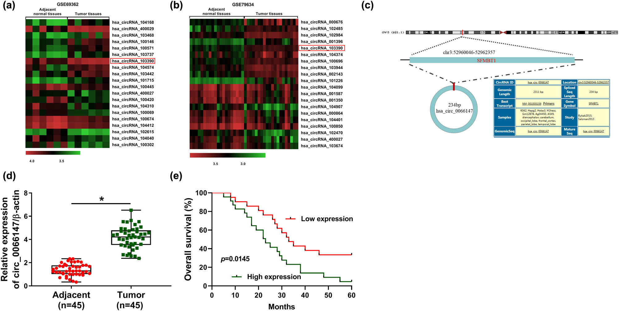 Figure 1
circ_0066147 level was upregulated in PC tissues. (a and b) The heat maps of abnormally expressed circRNAs in PC tissues from the GEO database. (c) Schematic of the covalently closed loop structure of circ_0066147. (d) Relative circ_0066147 level by qRT-PCR in 45 pairs of PC tissues and matched noncancerous tissues, with β-actin as the reference gene. (e) Survival analyses of these PC patients divided into a low circ_0066147 level group (n = 21) and a high circ_0066147 level group (n = 24), according to the mean value of circ_0066147 expression. *P < 0.05.
