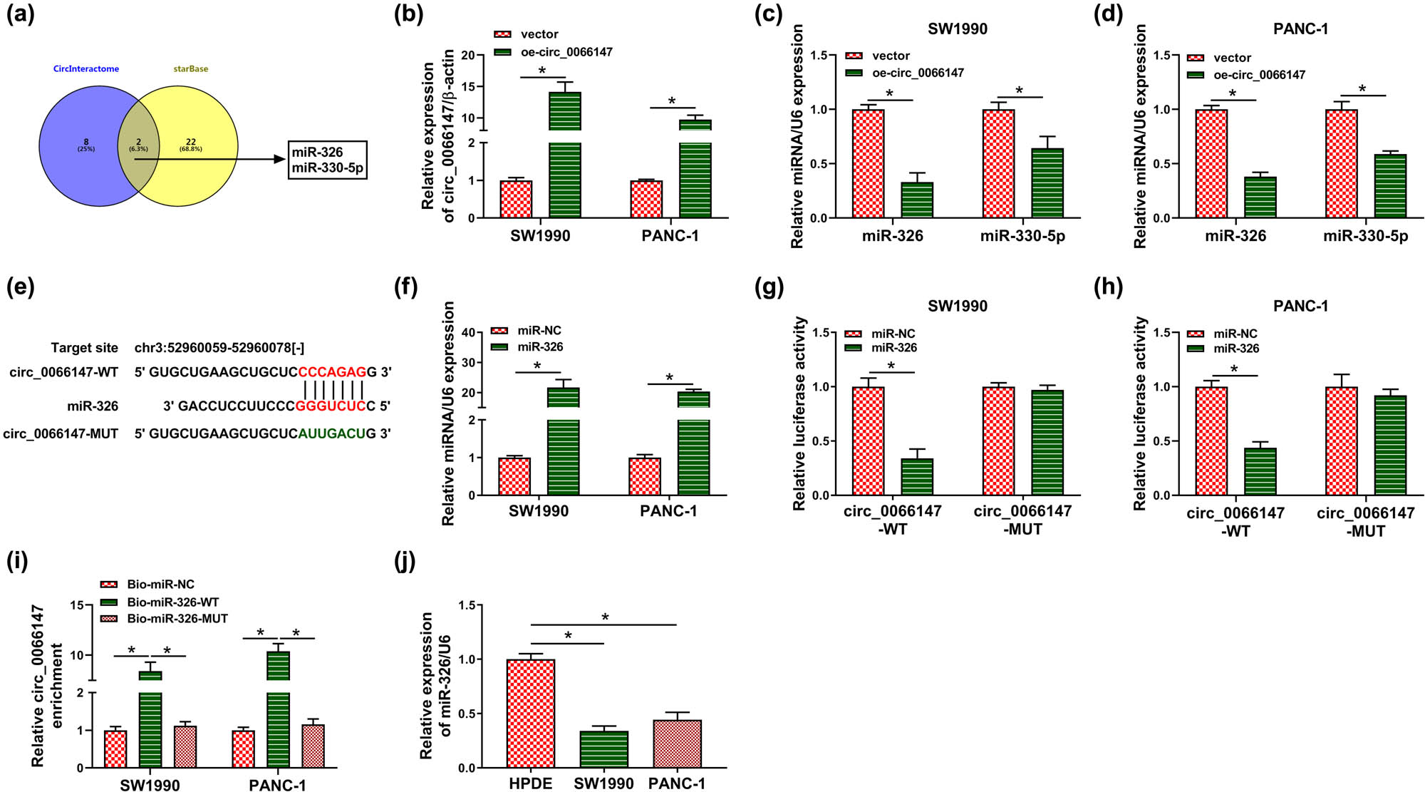 Figure 4
circ_0066147 in PC cells targeted miR-326 by directly binding to miR-326. (a) Venn diagram of the targeted miRNAs of circ_0066147 predicted by circInteractome and starBase online databases. (b–d) Relative levels of circ_0066147, miR-326 and miR-330-5p by qRT-PCR in SW1990 and PANC-1 cells transfected with vector negative plasmid or circ_0066147 overexpression plasmid (oe-circ_0066147). β-Actin or U6 served as the reference gene. (e) Schematic of the miR-326-binding region within circ_0066147 and mutated the target sequence. (f) Relative miR-326 expression in SW1990 and PANC-1 cells transfected with miR-NC mimic or miR-326 mimic. U6 served as the reference gene. (g and h) Dual-luciferase reporter assays in SW1990 and PANC-1 cells. (i) RNA pull-down assays in SW1990 and PANC-1 cells. β-Actin served as the reference gene. (j) Relative miR-326 expression by qRT-PCR in HPDE, SW1990 and PANC-1 cells. U6 served as the reference gene. *P < 0.05.