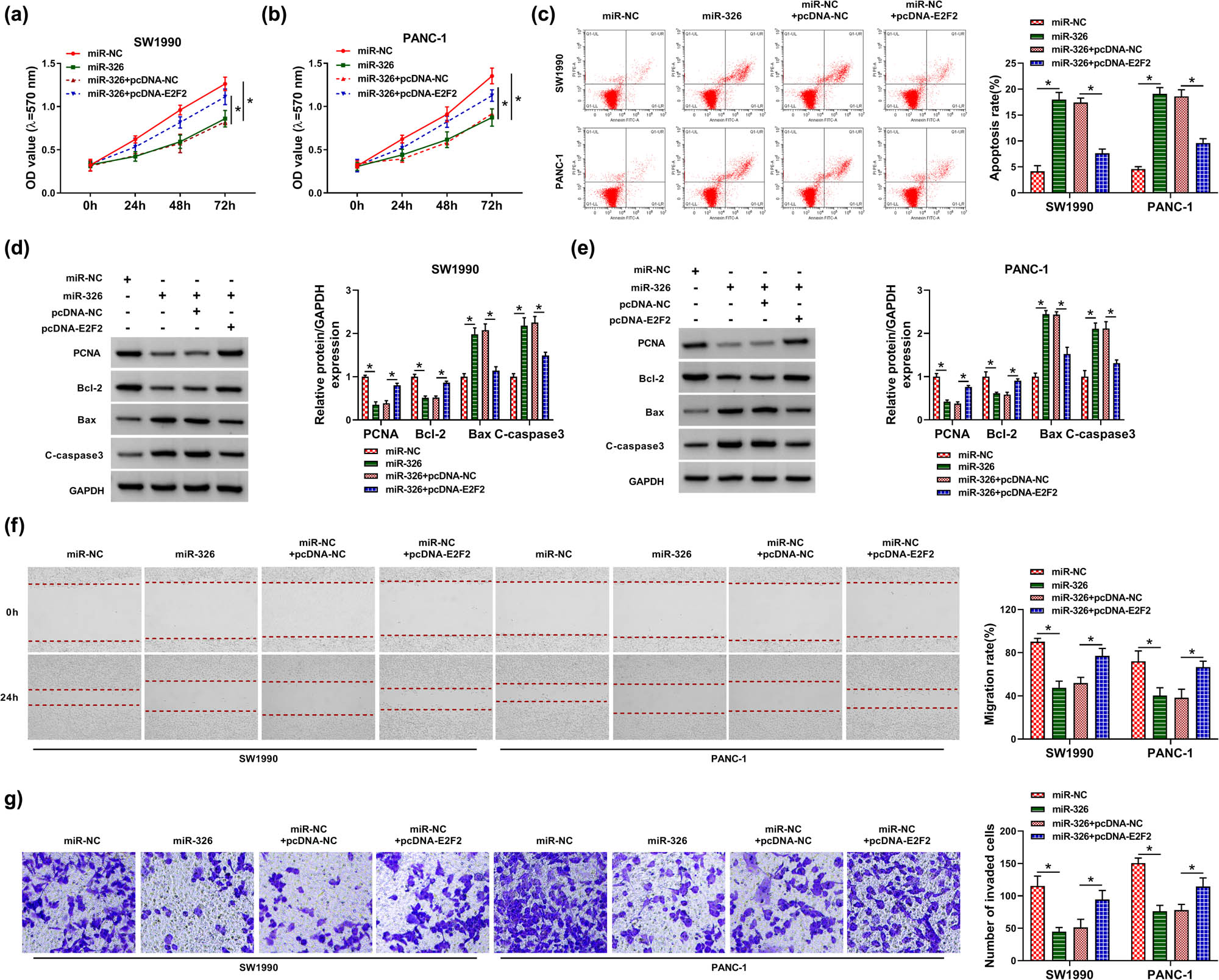 Figure 7
miR-326-modulated PC cell proliferation, migration, invasion and apoptosis in vitro by targeting E2F2. SW1990 and PANC-1 cells were transfected with miR-NC mimic, miR-326 mimic, miR-326 mimic + pcDNA-NC or miR-326 mimic + pcDNA-E2F2. (a and b) Cell proliferation by MTT assay. (c) Cell apoptosis by flow cytometry. (d and e) The levels of PCNA, Bcl-2, Bax and C-caspase3 by Western blot. GAPDH served as the reference gene. (f) Cell migration by wound-healing assay. (g) Cell invasion by transwell assay. *P < 0.05.