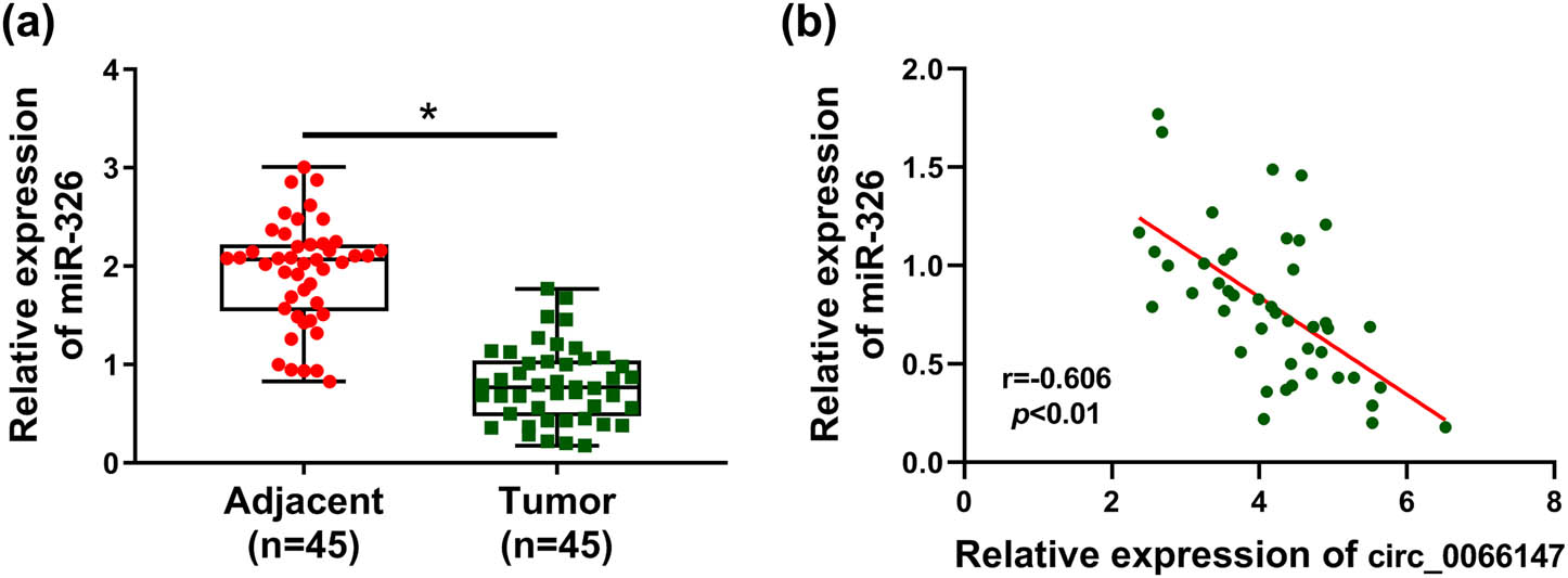 Figure A1
The level of miR-326 was reduced in PC tissues. (a) Relative miR-326 expression by qRT-PCR in 45 pairs of PC tissues and matched noncancerous tissues. U6 served as the reference gene. (b) Correlation between circ_0066147 and miR-326 expression levels in PC tissues using the Spearman correlation test. *P < 0.05.