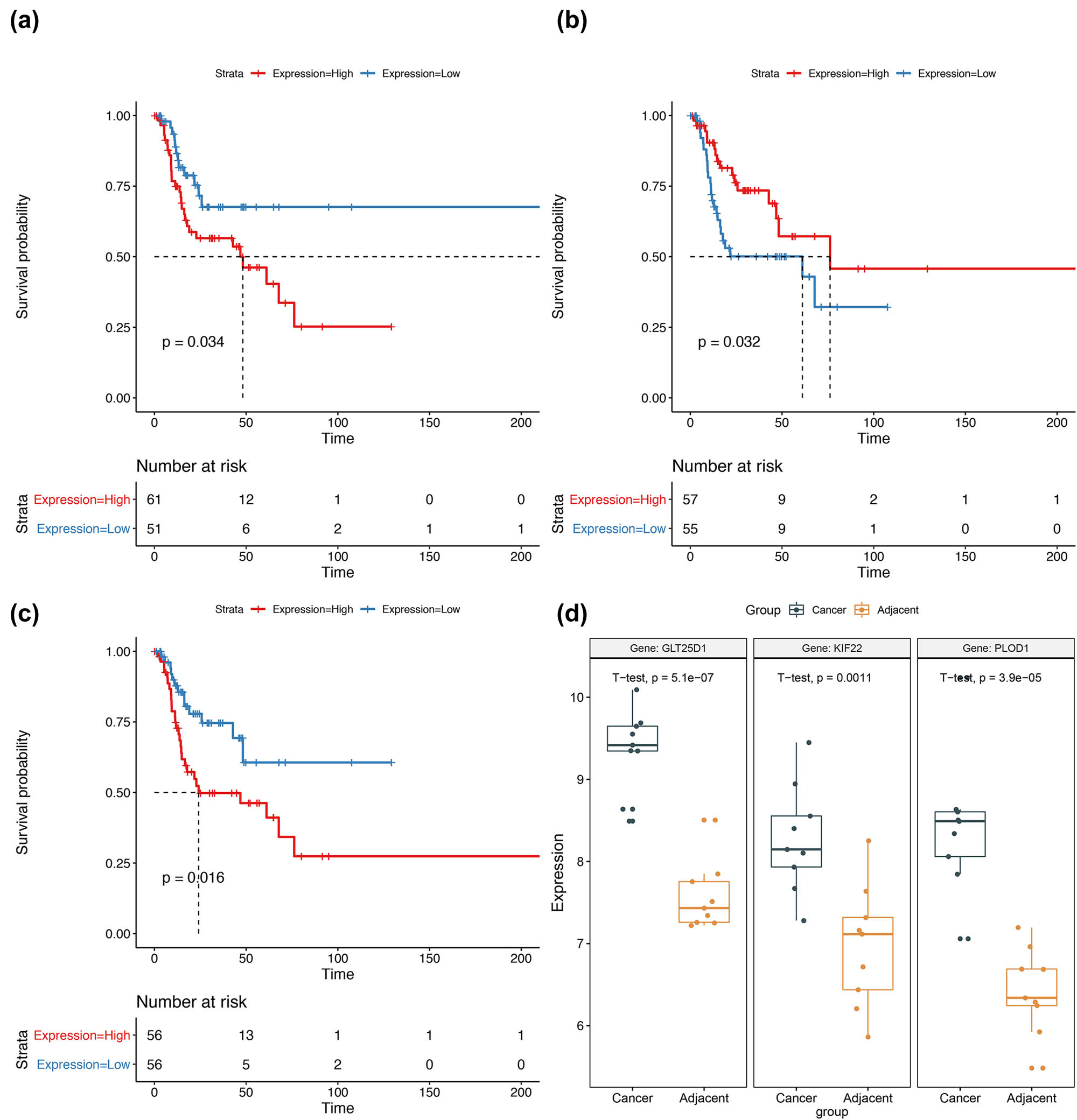 Figure 5 
                  Survival analyses for GLT25D1 (a), KIF22 (b), and PLOD1 (c), and the box plot for the expression values of these three genes in GSE84957 (d).
               