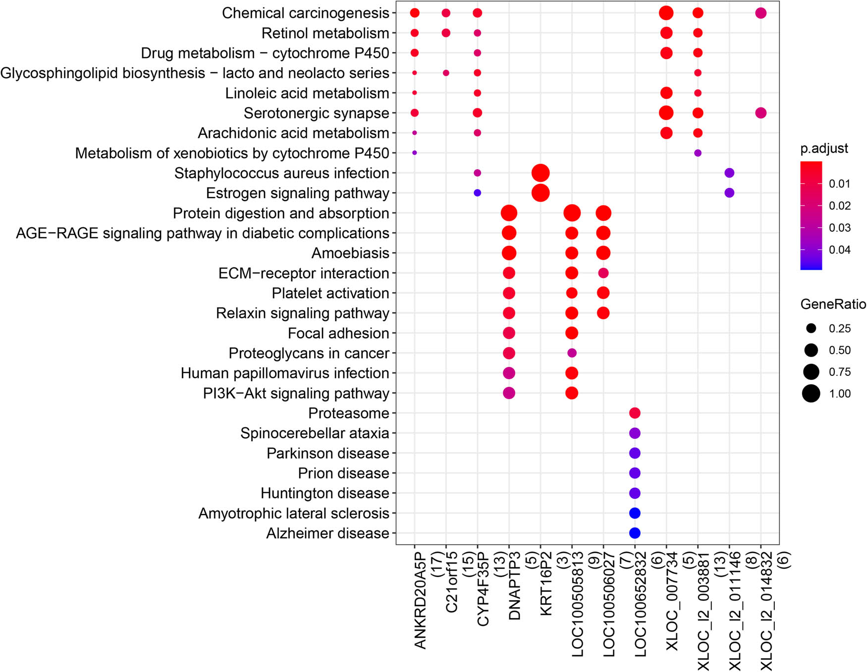 Figure A1 
                  Significantly enriched Kyoto encyclopedia of genes and genomes (KEGG) pathway for lncRNAs in lncRNA–mRNA network. Abscissa: lncRNA; Ordinate: enriched KEGG pathways; point size: GeneRatio, color shift from blue to red indicates p adjust value from low to high.
               