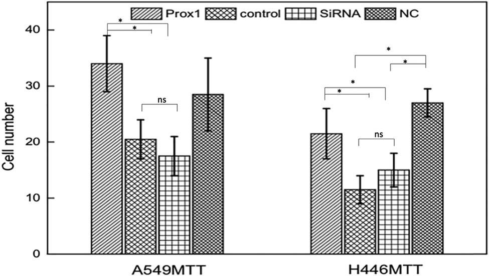Figure 7 
                     Transwell to detect the change of invasive ability of A549 and H446 cells after changes in Prox1 expression. Wild-type untransfected A549 and H446 cells served as the control group. Cell invasive ability increased with the increased expression of Prox1 and decreased with the decreased expression of Prox1 (P < 0.01). Data were presented as mean ± SD and analyzed using Student’s t-test (n = 3). ns, no significance; **P < 0.01; *P < 0.05.
                  