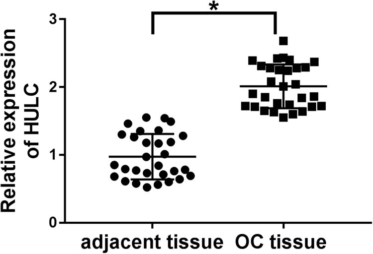 Figure A1 
            HULC was highly expressed in OC tissues. The expression levels of HULC in OC tissues and adjacent normal tissues were detected by qRT-PCR. *P < 0.05.
         