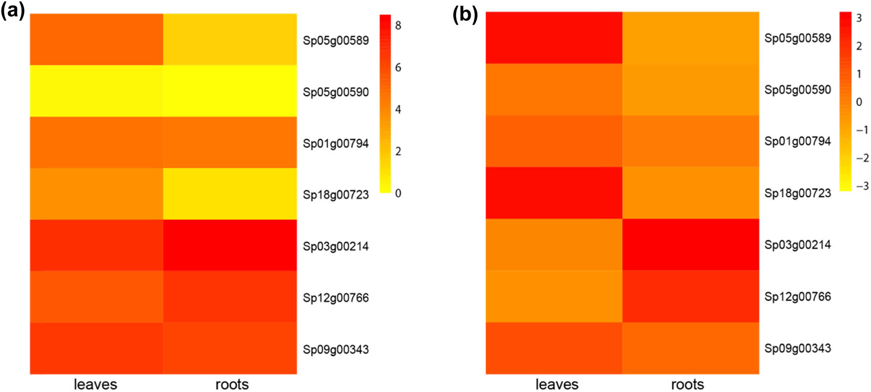 Figure 4 
                  Expression of GT2 genes in the leaves and roots of duckweed. (a) Heatmap of the duckweed GT2 gene expression. (b) Heatmap of the normalized expression of duckweed GT2 genes, showing the relative expression between the leaves and roots for each gene.
               