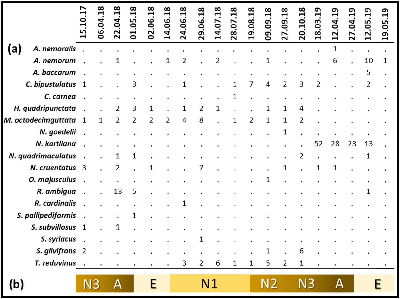 Figure 3
(a) Number of predator individuals per species per field visit. (b) Seasonal development of M. hellenica in the region (A: Adult, E: Egg and N: Nymph).