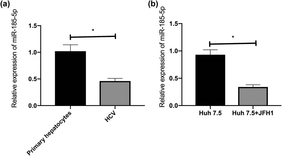 Figure 1
HCV infection led to miR-185-5p downregulation. (a) miR-185-5p expression in HCV-infected primary hepatocytes. (b) miR-185-5p expression in HCV-infected Huh7.5 cells. *P < 0.05.