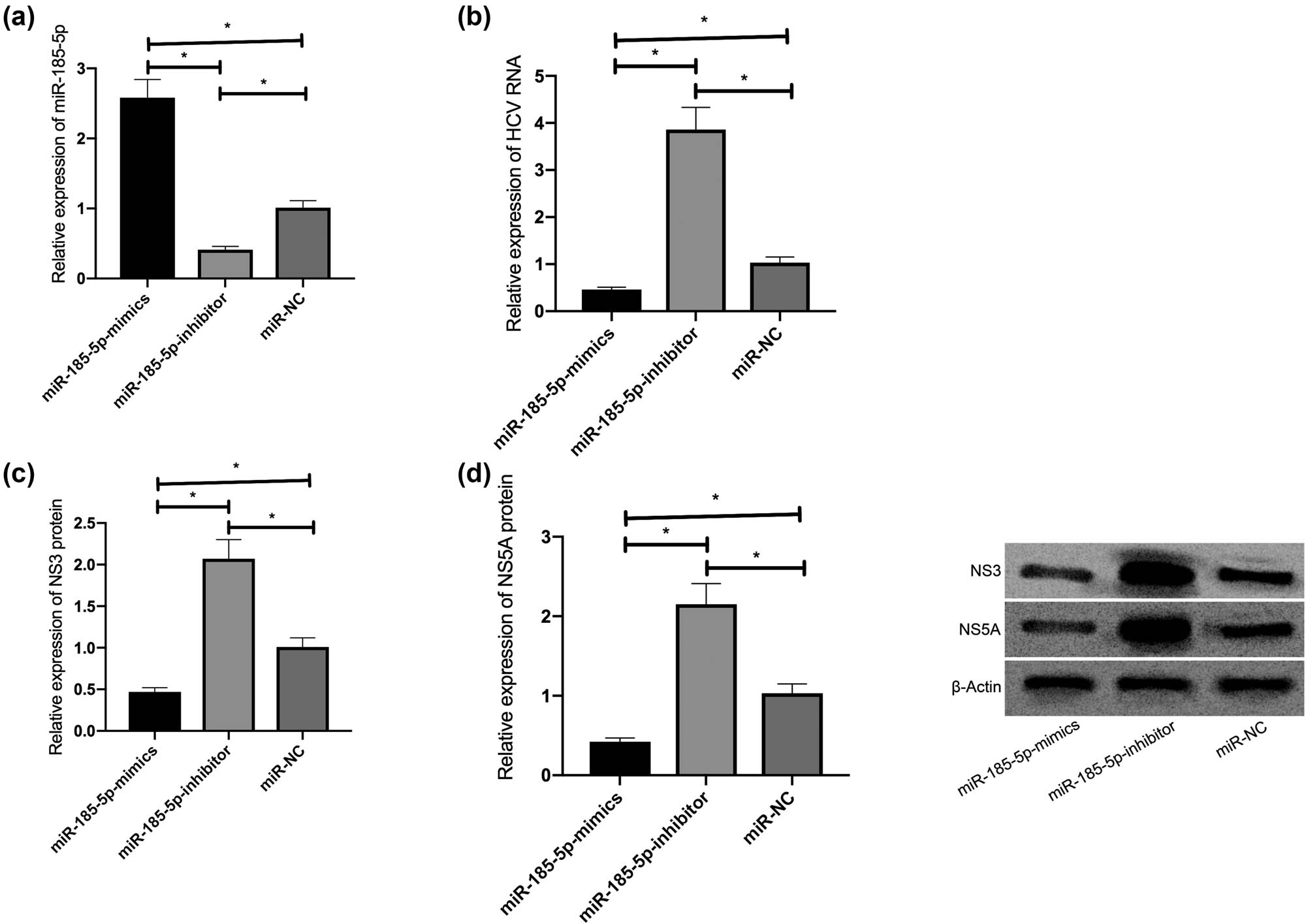 Figure 2
miR-185-5p inhibited HCV replication. (a) The transfection efficiency of miR-185-5p in Huh7.5 cells. (b) The effects of miR-185-5p on HCV RNA replication in cells. (c) The effects of miR-185-5p on NS3 in cells. (d) The effects of miR-185-5p on NS5A in cells. *P < 0.05.