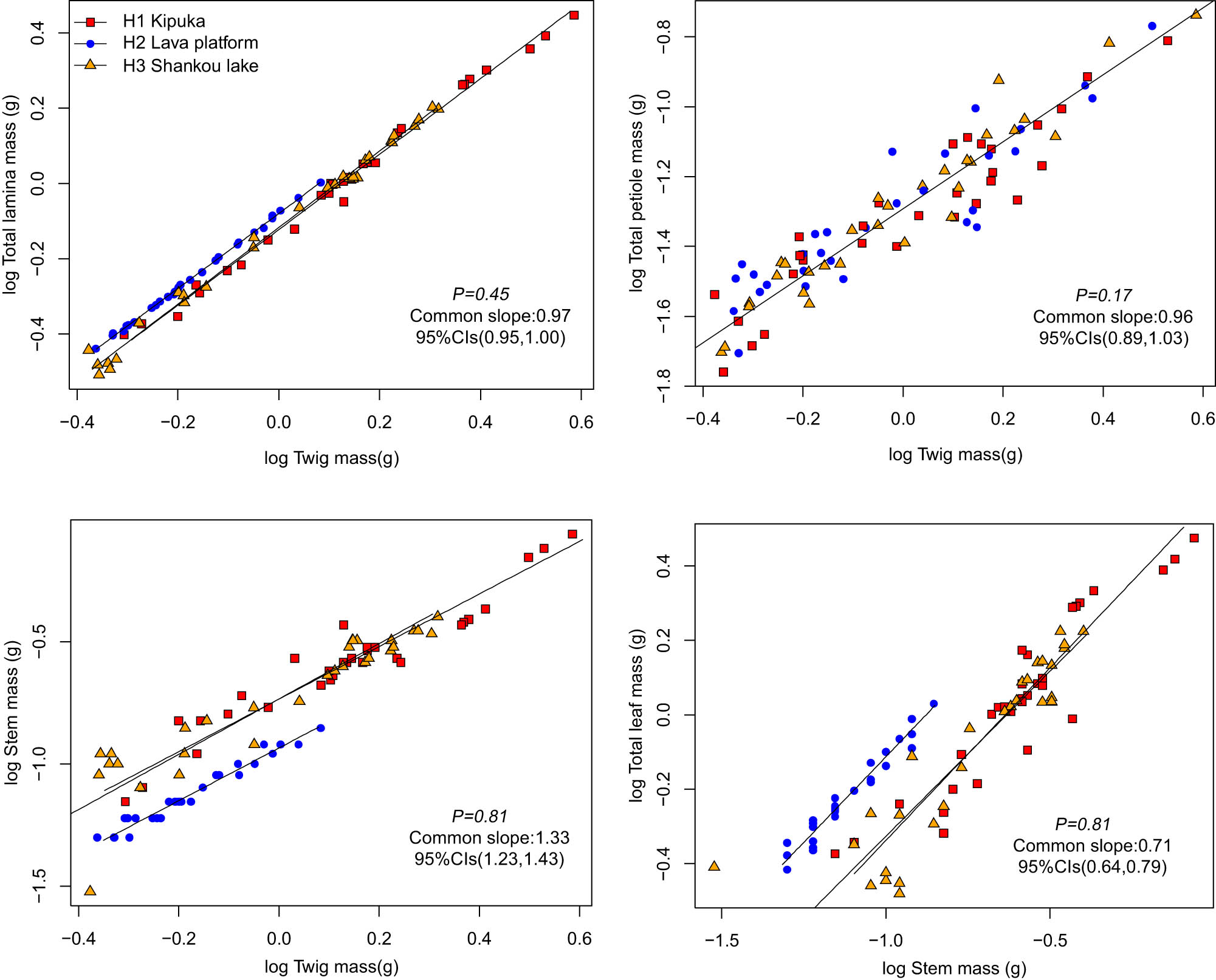Figure 1 
                  Twig biomass allocation relationship of B. platyphylla.
               