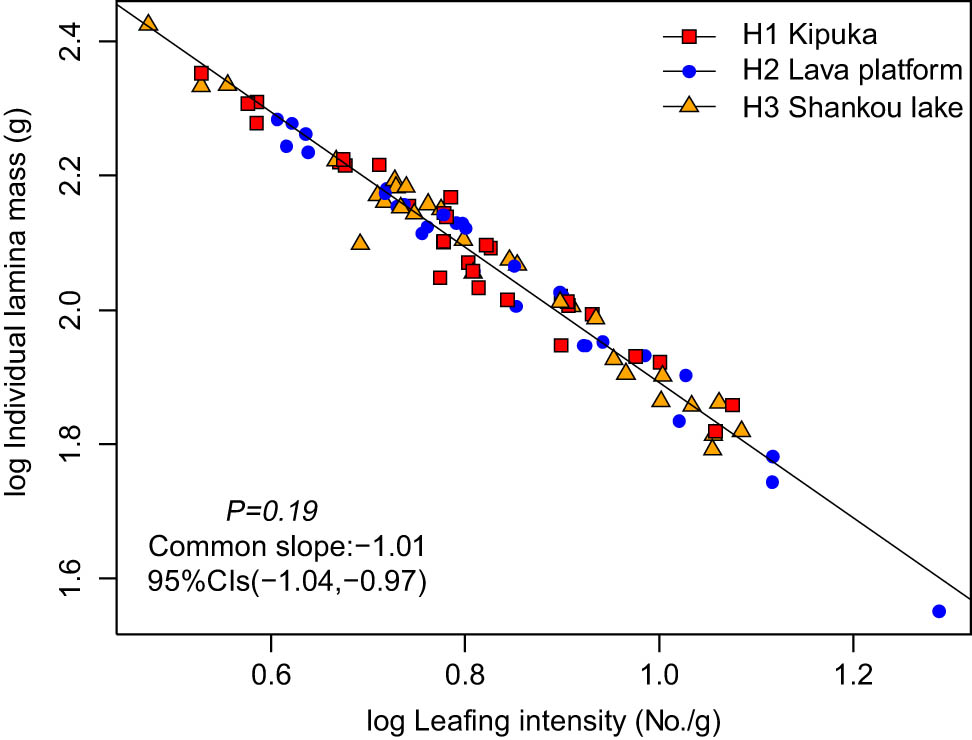 Figure 3 
                  The size-number trade-off of B. platyphylla in different habitats.
               