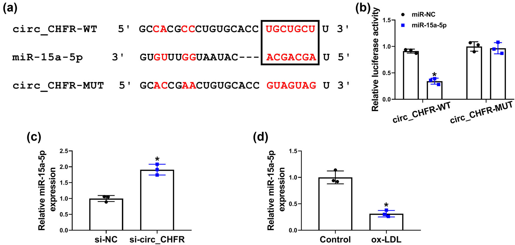 Figure 3
circ_CHFR functioned as a sponge of miR-15a-5p in HBMECs. (a) The binding sites between miR-15a-5p and circ_CHFR were predicted by starbase3.0 online database. (b) Luciferase activity was determined by dual-luciferase reporter assay in HBMECs. (c and d) QRT-PCR was employed to detect the impacts of circ_CHFR silencing and ox-LDL treatment on miR-15a-5p expression in HBMECs. *P < 0.05.